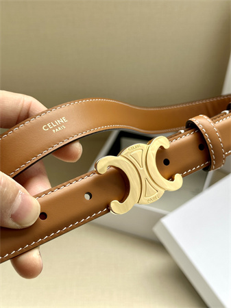 Celine TRIOMPHE Belt 25MM In Calfskin Gold Tone Buckle Brown