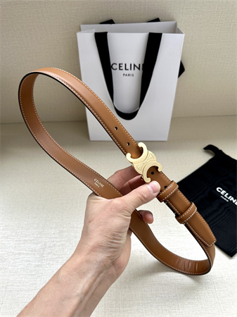 Celine TRIOMPHE Belt 25MM In Calfskin Gold Tone Buckle Brown