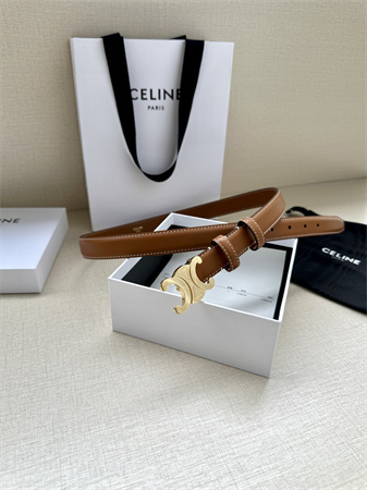 Celine TRIOMPHE Belt 25MM In Calfskin Gold Tone Buckle Brown