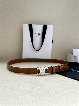 Celine TRIOMPHE Belt 25MM In Calfskin Silver Tone Buckle Brown