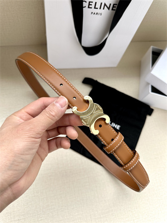 Celine TRIOMPHE Belt 25MM In Calfskin Shinny Gold Tone Buckle Brown