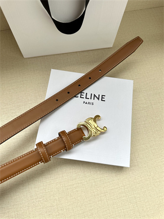 Celine TRIOMPHE Belt 25MM In Calfskin Shinny Gold Tone Buckle Brown