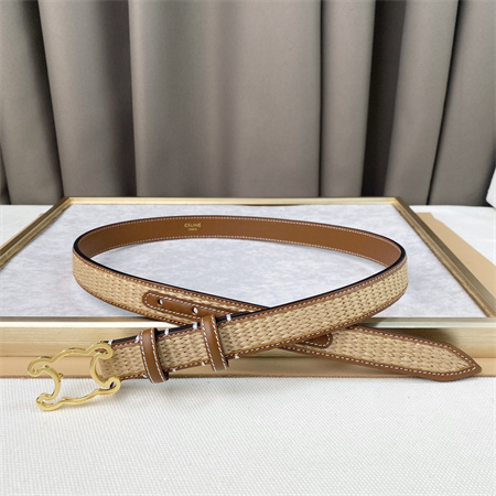 Celine TRIOMPHE Belt 25MM In Calfskin and Raffia Gold Tone Buckle Brown