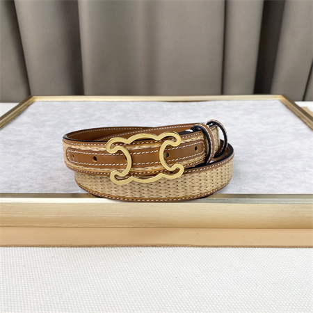 Celine TRIOMPHE Belt 25MM In Calfskin and Raffia Gold Tone Buckle Brown
