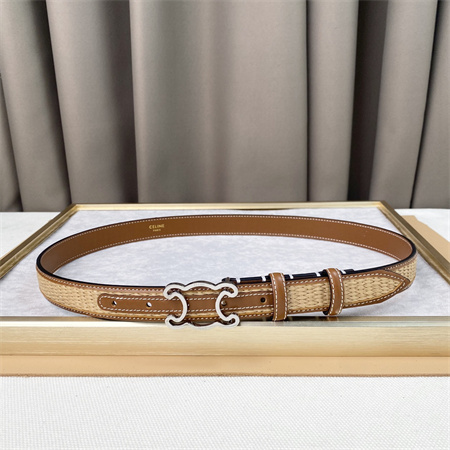 Celine TRIOMPHE Belt 25MM In Calfskin and Raffia Silver Tone Buckle Brown