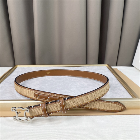 Celine TRIOMPHE Belt 25MM In Calfskin and Raffia Silver Tone Buckle Brown