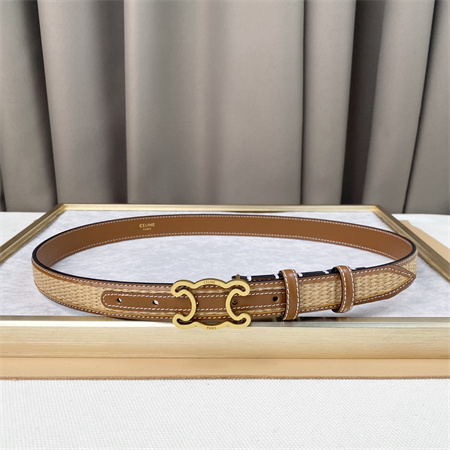 Celine TRIOMPHE Belt 25MM In Calfskin and Raffia Gold Tone Buckle Brown