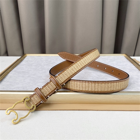 Celine TRIOMPHE Belt 25MM In Calfskin and Raffia Gold Tone Buckle Brown
