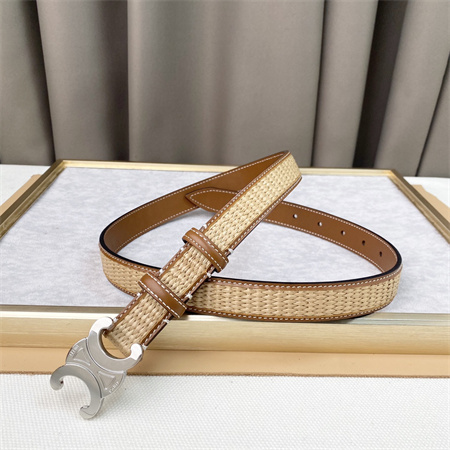 Celine TRIOMPHE Belt 25MM In Calfskin and Raffia Silver Tone Buckle Brown