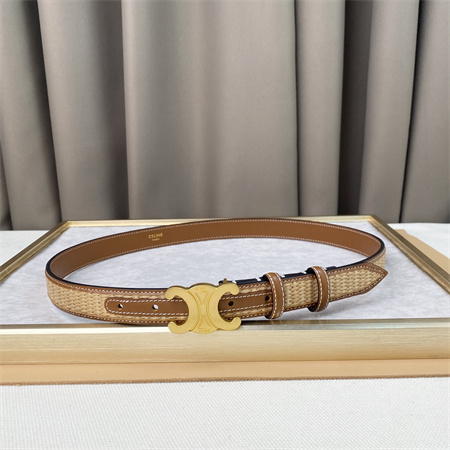 Celine TRIOMPHE Belt 25MM In Calfskin and Raffia Gold Tone Buckle Brown