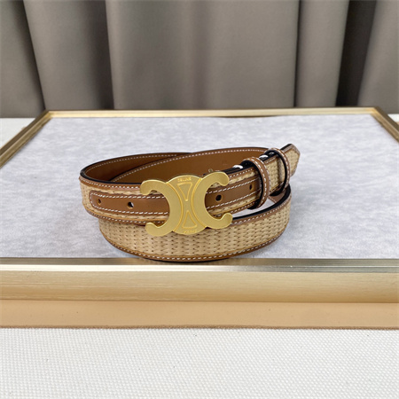 Celine TRIOMPHE Belt 25MM In Calfskin and Raffia Gold Tone Buckle Brown