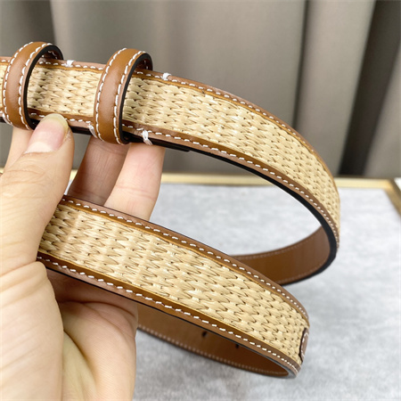 Celine TRIOMPHE Belt 25MM In Calfskin and Raffia Gold Tone Buckle Brown