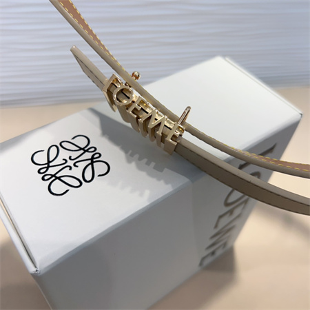 Loewe Belt In Calfskin 28MM Gold Hardware Cream/Brown