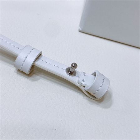 Loewe Belt In Calfskin 10MM Silver Hardware White