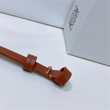 Loewe Belt In Calfskin 10MM Gold Hardware Brown