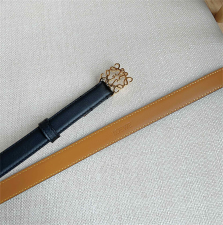 Loewe Belt In Smooth Calfskin 20MM Gold Hardware Black/Brown