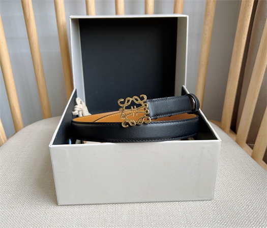 Loewe Belt In Smooth Calfskin 20MM Gold Hardware Black/Brown