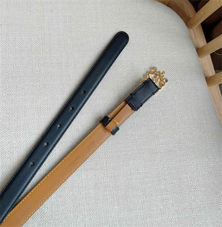 Loewe Belt In Smooth Calfskin 20MM Gold Hardware Black/Brown