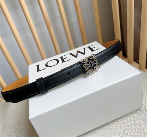 Loewe Belt In Smooth Calfskin 20MM  Silver Hardware Black/Brown