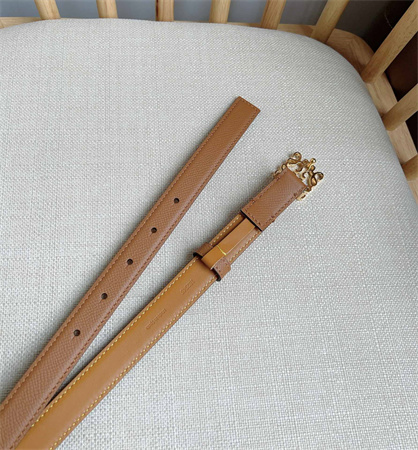 Loewe Belt In Calfskin 20MM Gold Hardware Brown