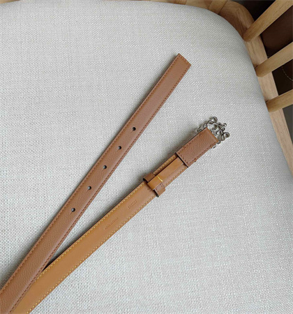 Loewe Belt In Calfskin 20MM Silver Hardware Brown