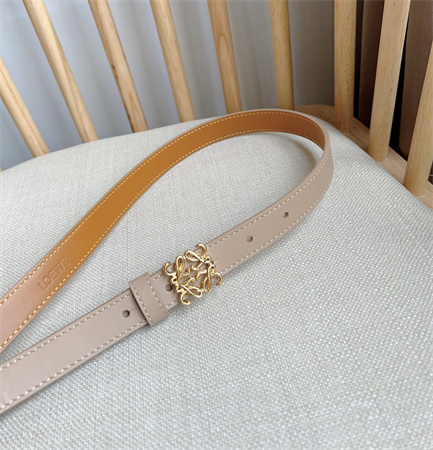 Loewe Belt In Smooth Calfskin 20MM Gold Hardware Nude Pink/Brown