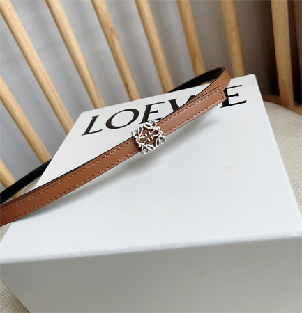 Loewe Belt In Calfskin 10MM Silver Hardware Brown/Black