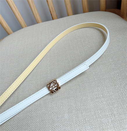Loewe Belt In Calfskin 10MM Gold Hardware White
