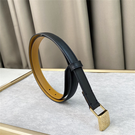 Loewe Belt In Calfskin 20MM Gold Hardware Black/Brown