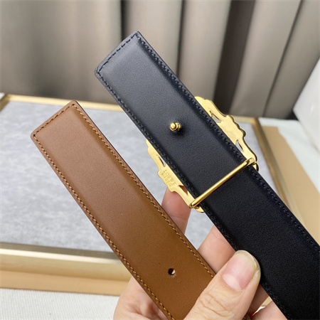 Loewe Belt In Calfskin 30MM Gold Hardware Black/Brown