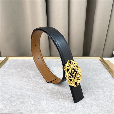 Loewe Belt In Calfskin 30MM Gold Hardware Black/Brown