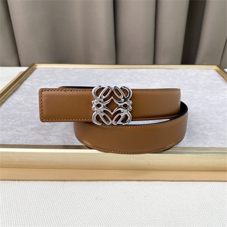 Loewe Belt In Calfskin 30MM Silver Hardware Brown/Black