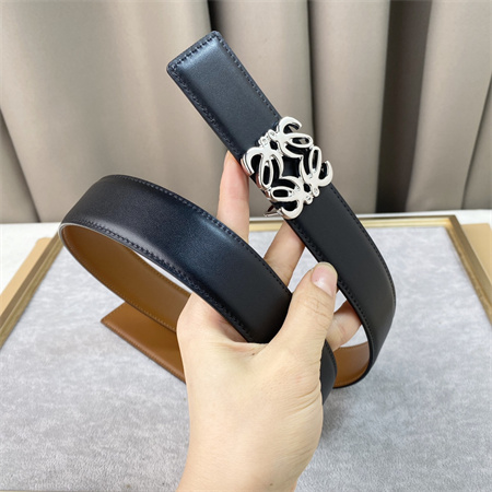 Loewe Belt In Calfskin 30MM Silver Hardware Brown/Black