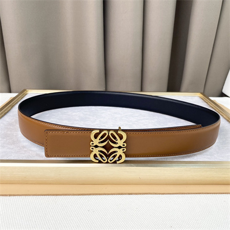Loewe Belt In Calfskin 30MM Gold Hardware Brown/Black