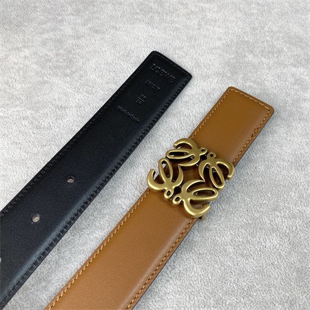 Loewe Belt In Calfskin 30MM Gold Hardware Brown/Black