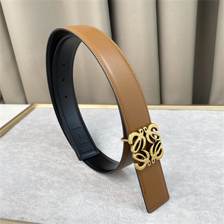 Loewe Belt In Calfskin 30MM Gold Hardware Brown/Black