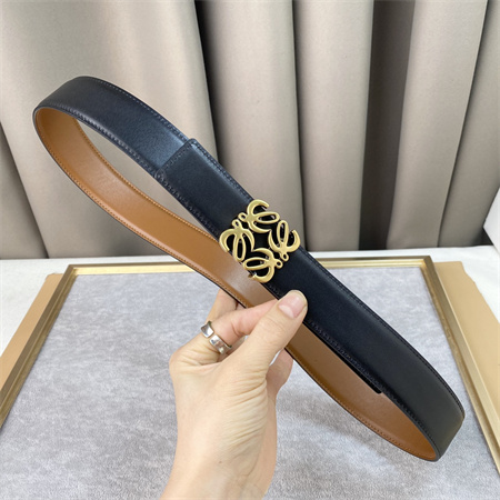 Loewe Belt In Calfskin 30MM Gold Hardware Brown/Black