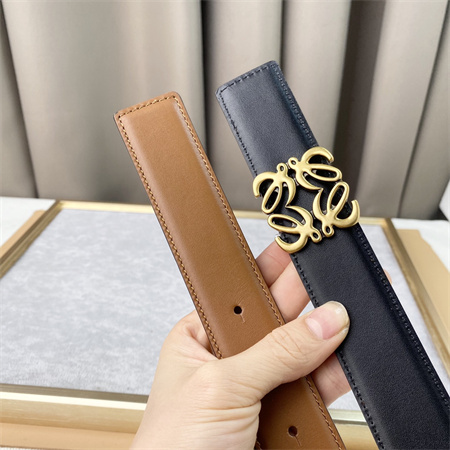 Loewe Belt In Calfskin 30MM Gold Hardware Brown/Black