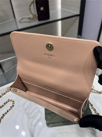 Cha.nel Flap Phone Holder with Chain Shiny Lambskin & Gold-Tone Metal Nude Pink AP4167