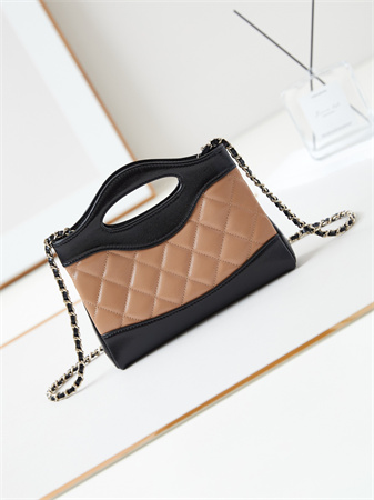 Cha.nel 31 Nano Chain Bag Lambskin Gold Tone Metal Brown/Black AS3656