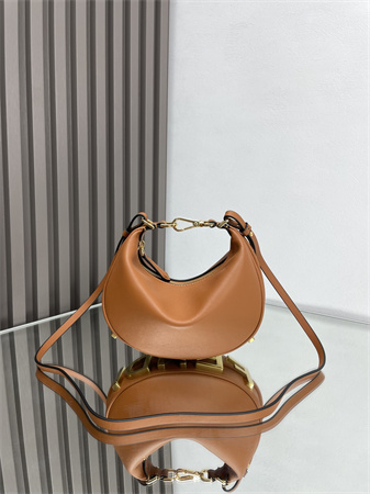 Fendigraphy Mini Leather Bag Brown