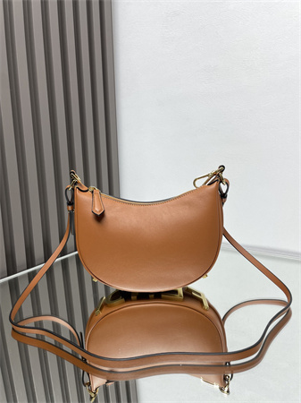 Fendigraphy Mini Leather Bag Brown