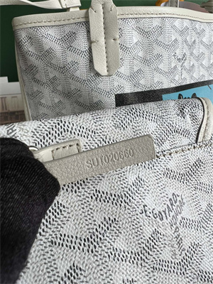 Goyard Anjou Mini Bag Chevroches Calfskin & Goyardine Canvas