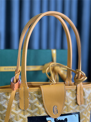 Goyard Anjou Mini Bag Chevroches Calfskin & Goyardine Canvas