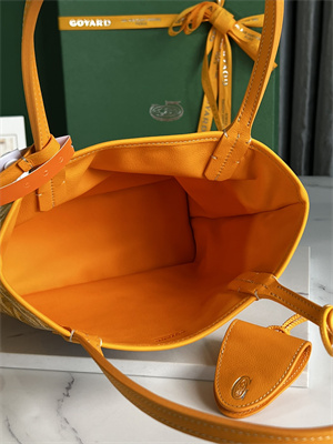 Goyard Anjou Mini Bag Chevroches Calfskin & Goyardine Canvas