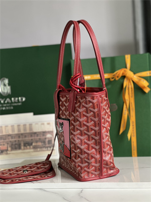 Goyard Anjou Mini Bag Chevroches Calfskin & Goyardine Canvas