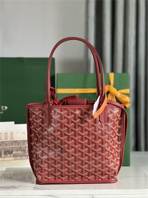 Goyard Anjou Mini Bag Chevroches Calfskin & Goyardine Canvas