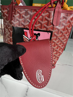 Goyard Anjou Mini Bag Chevroches Calfskin & Goyardine Canvas