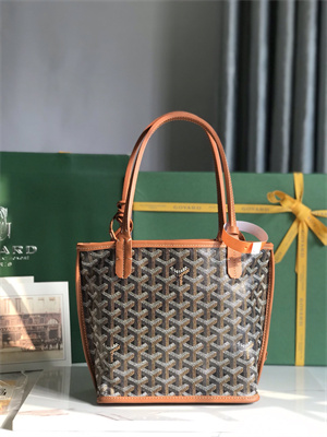 Goyard Anjou Mini Bag Chevroches Calfskin & Goyardine Canvas