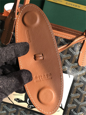 Goyard Anjou Mini Bag Chevroches Calfskin & Goyardine Canvas